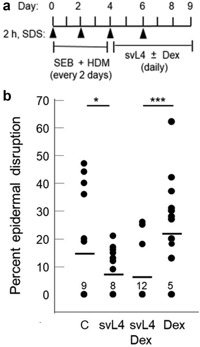 Figure 3