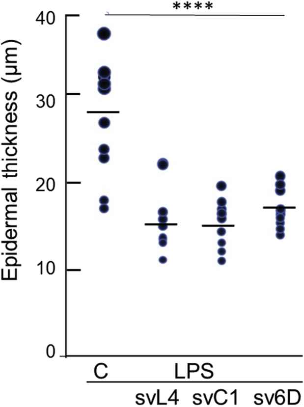 Figure 7