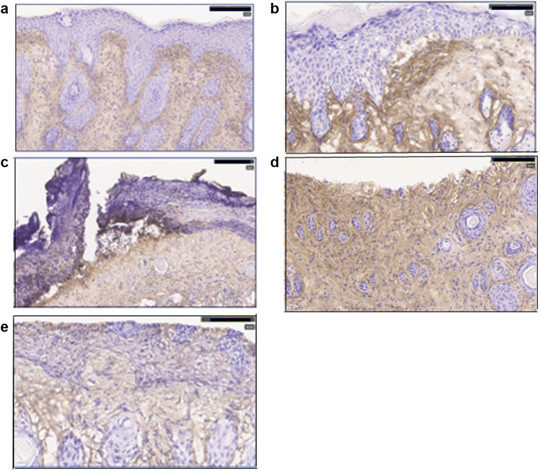 Figure 6