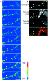 Figure 3.