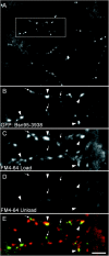 Figure 10.