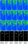 Figure 11.