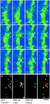 Figure 6.