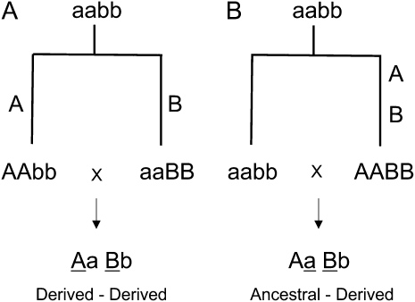 Figure 1.—