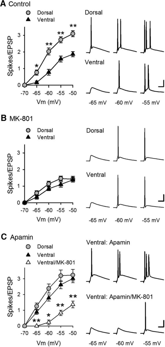 Figure 10.