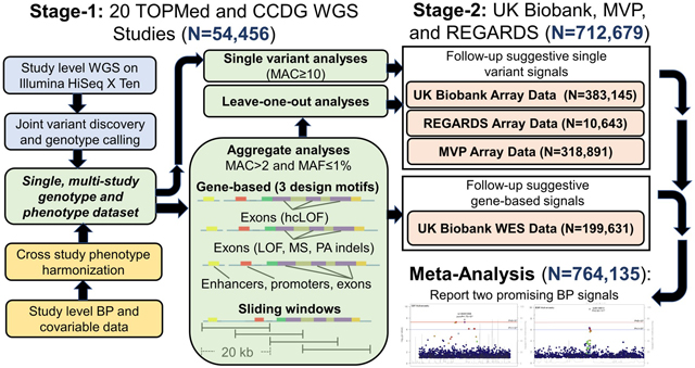 graphic file with name nihms-1808860-f0005.jpg