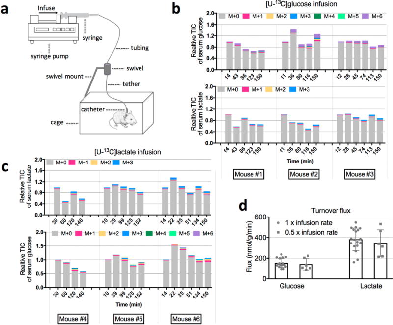 Extended Data Figure 2