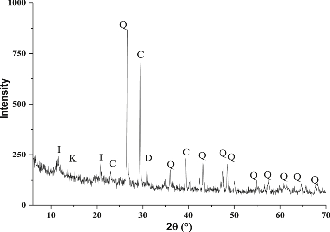 Figure 1