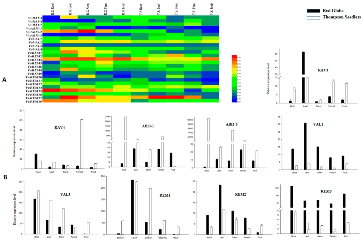 Figure 6