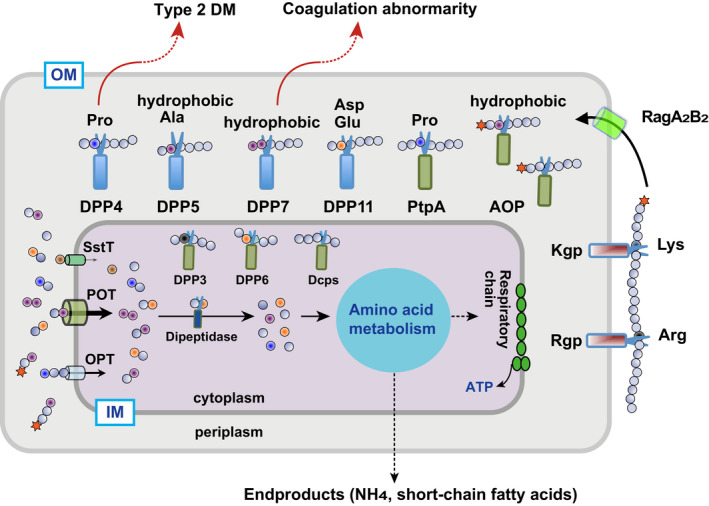 FIGURE 1