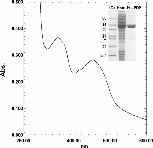 FIG. 1.