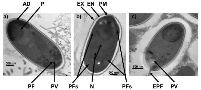 Fig. 6--8