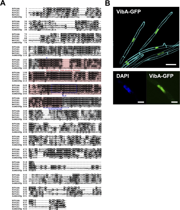 FIG 3