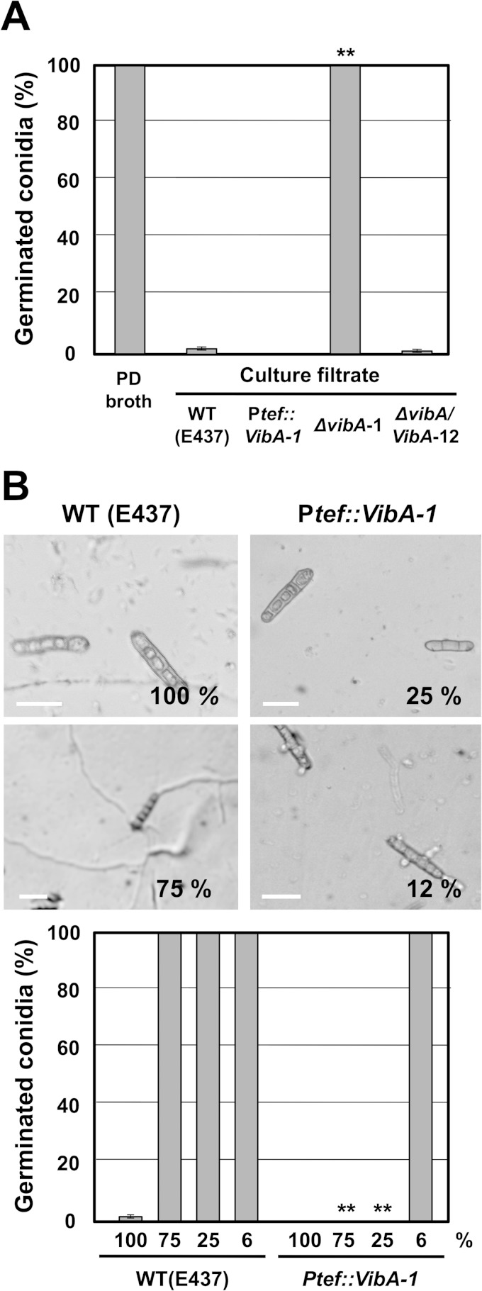 FIG 5