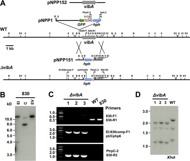 FIG 2