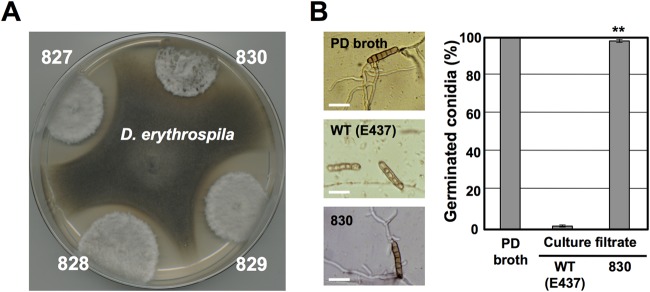 FIG 1