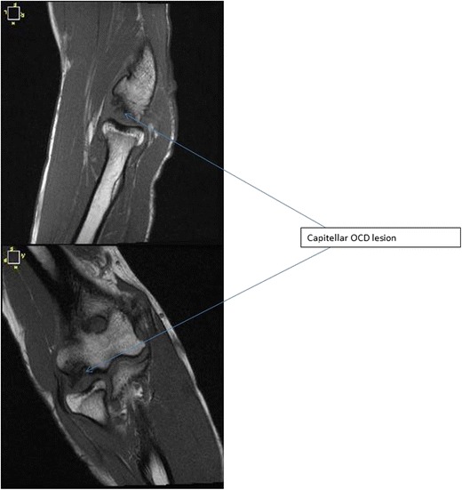 Fig. 5