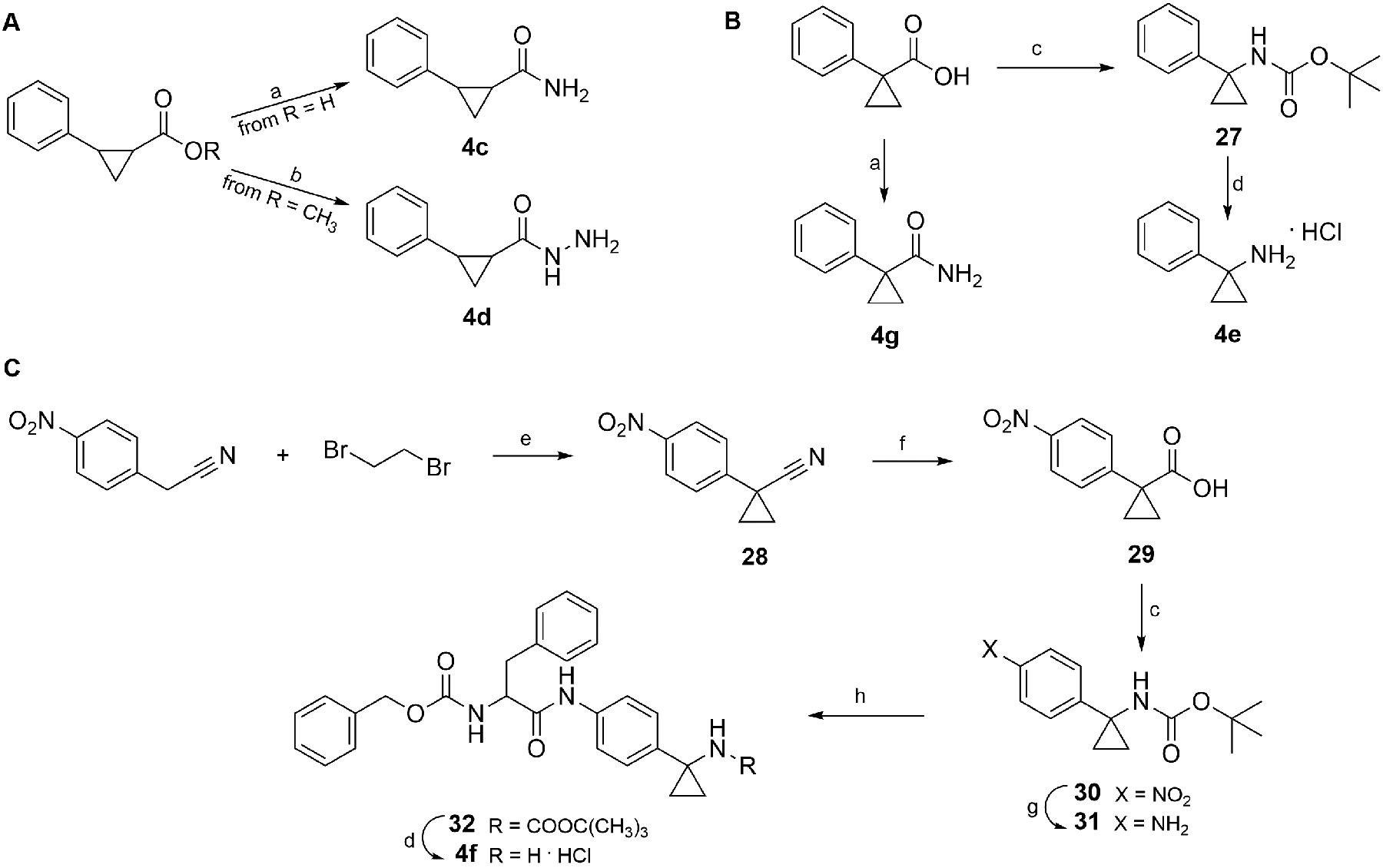 Scheme 3.