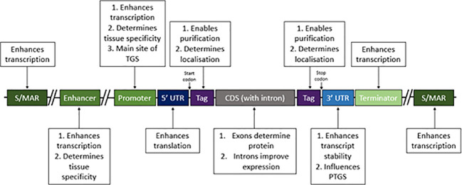 Figure 1