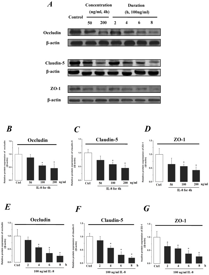 Fig 5