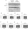 Fig 7