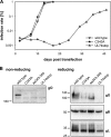 FIG 10