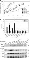 FIG 12