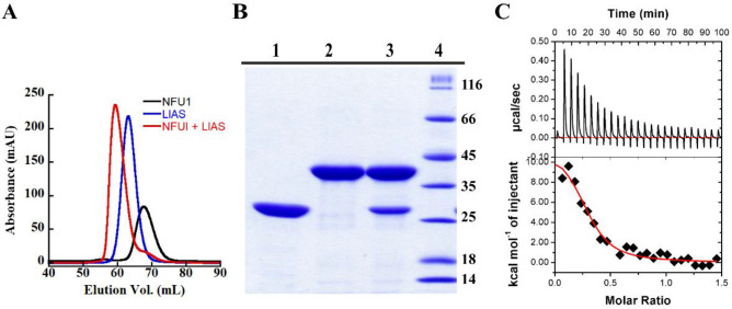 Figure 6