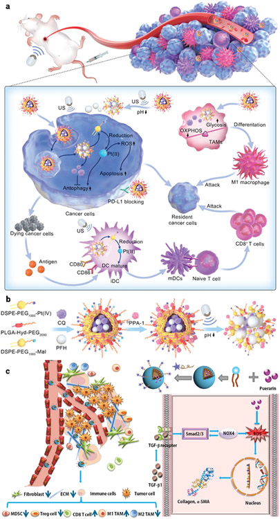 Figure 14.