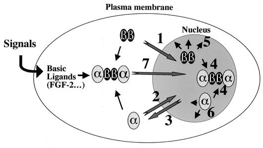 FIG. 7.