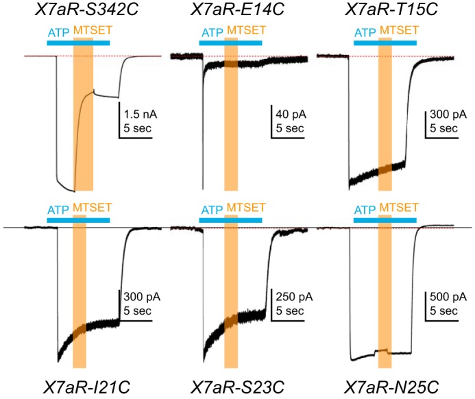 Figure 5.