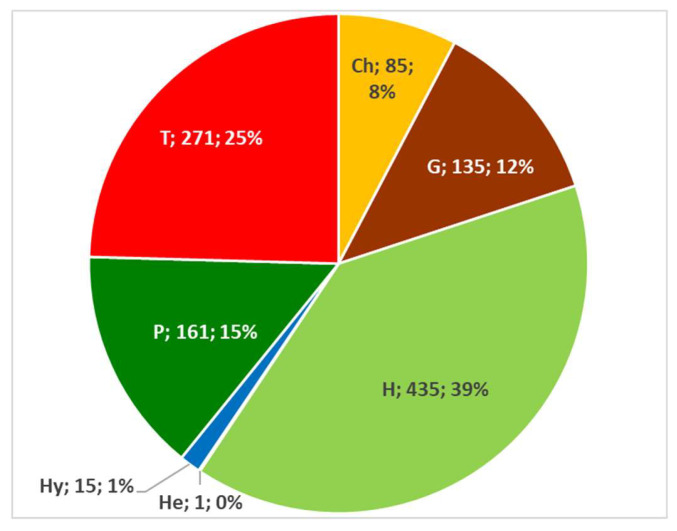 Figure 13