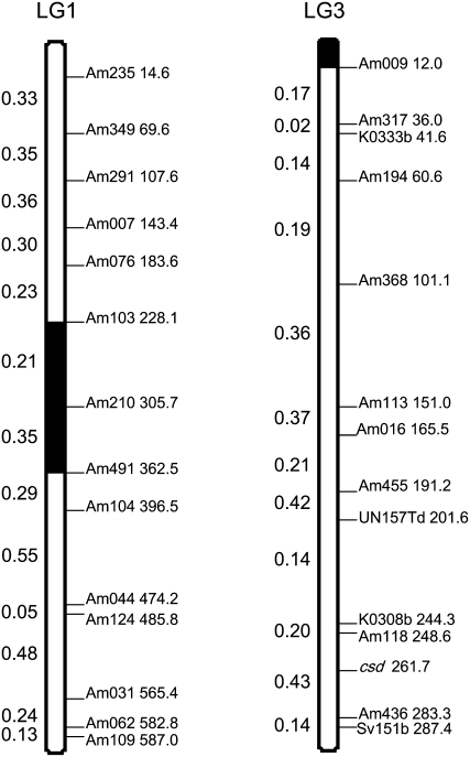 Figure 1.—