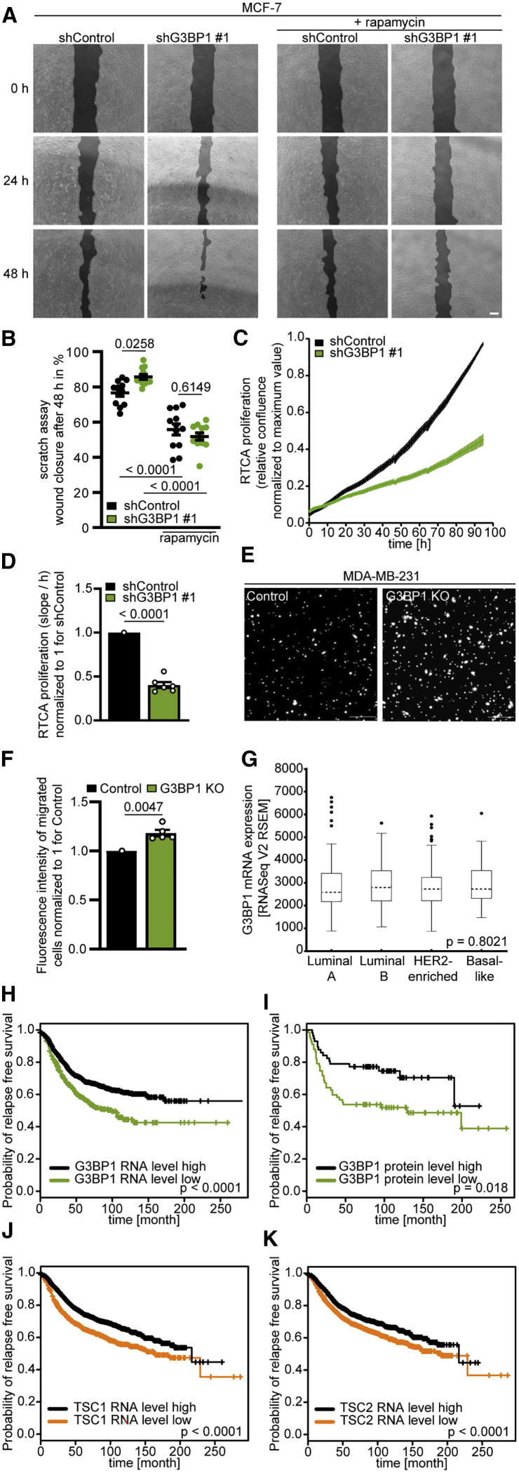 Figure 6