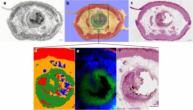 Fig. 4