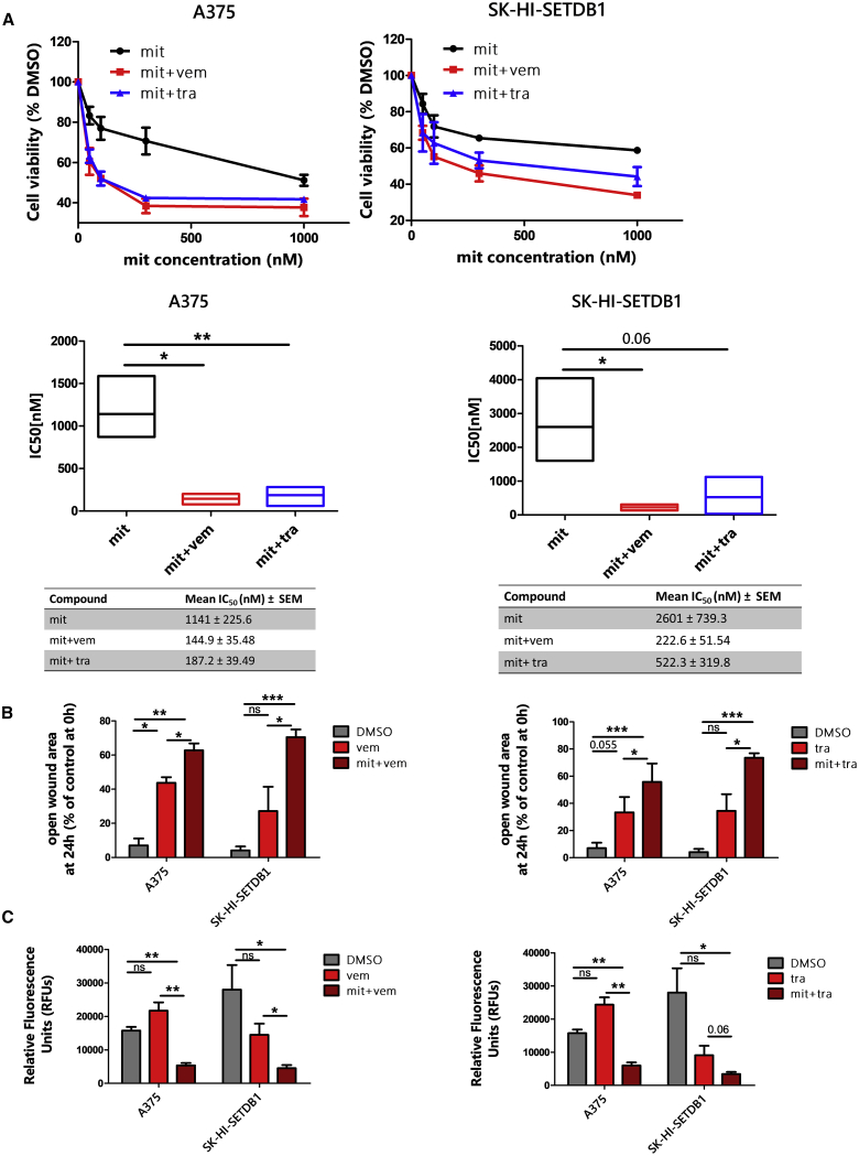 Figure 6