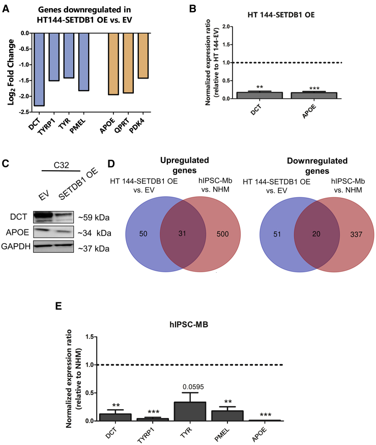 Figure 2