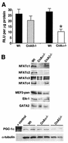 FIG. 8.