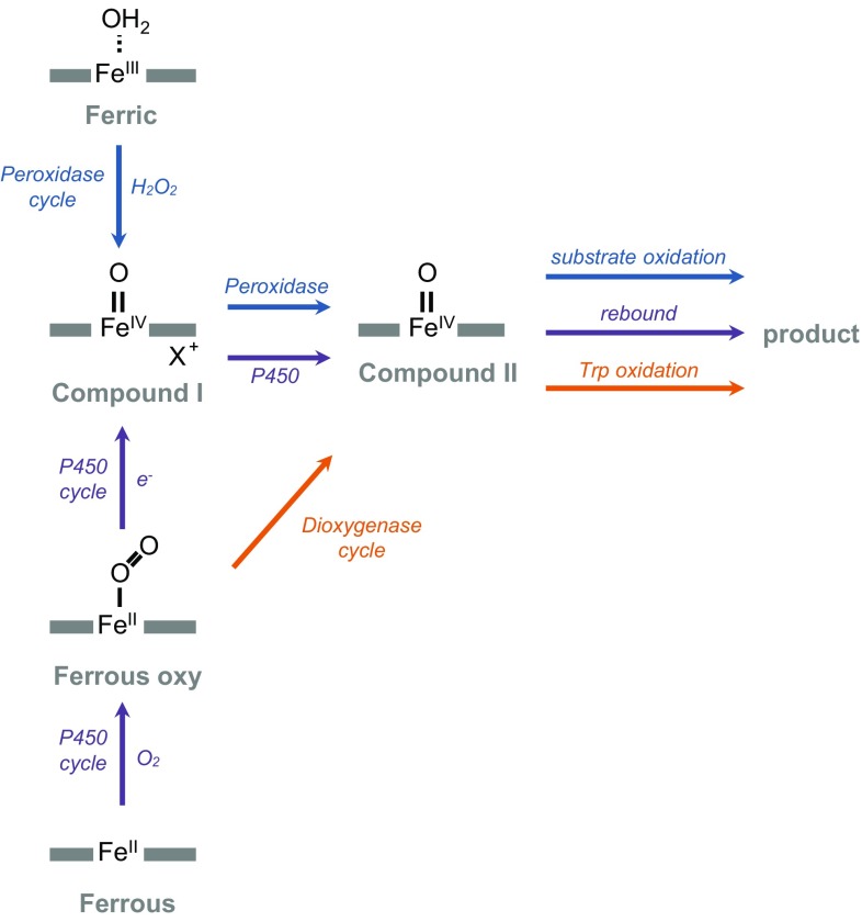 Fig. 7