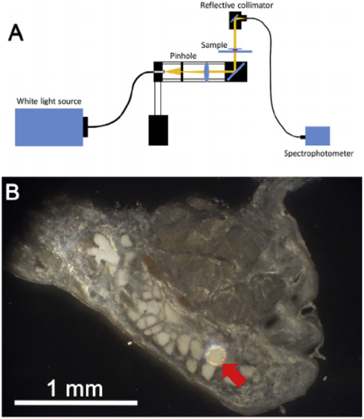 Fig. 1.