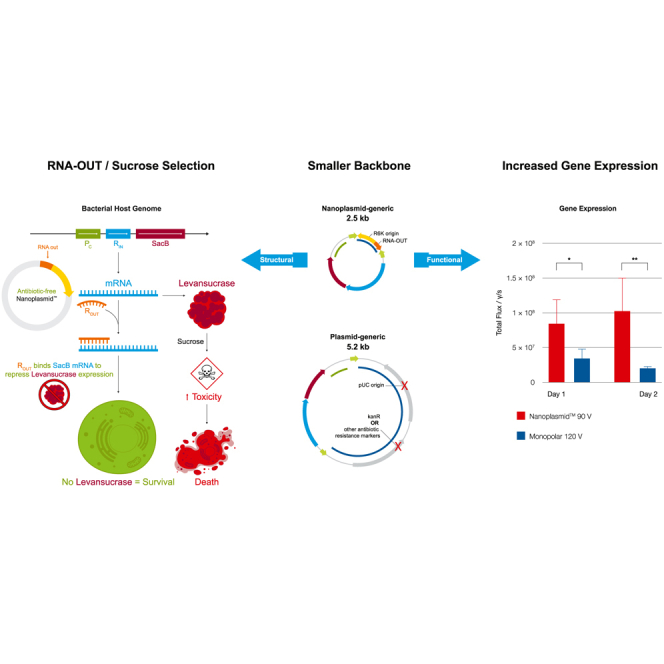 graphic file with name fx1.jpg