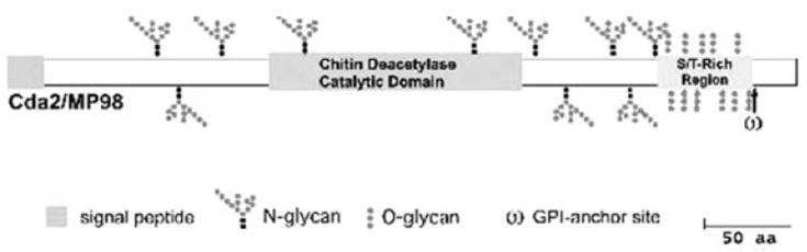 Fig. 7.2