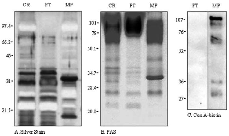 Fig. 7.4