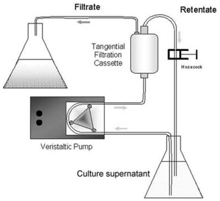 Fig. 7.3