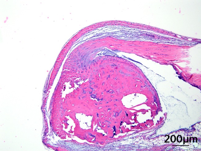 Figs. 3a - 3c