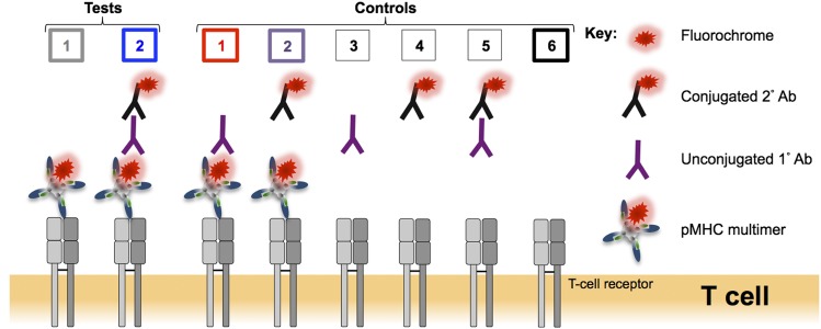 FIGURE 1.