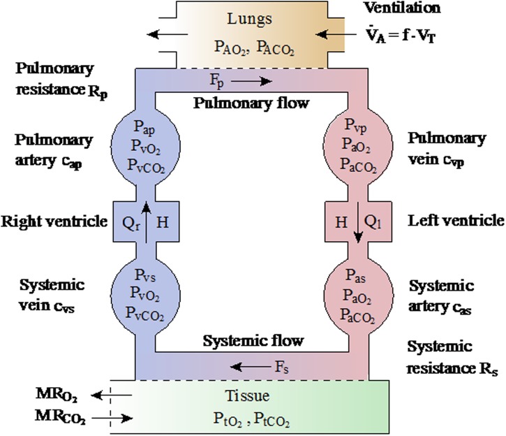 Fig 12