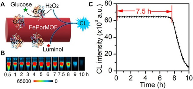 FIGURE 13