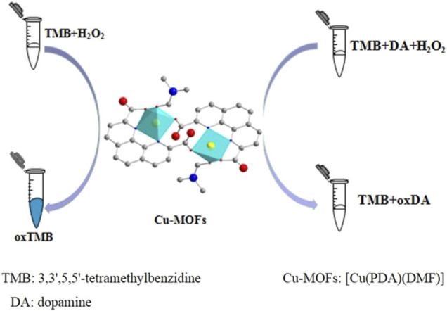 FIGURE 14