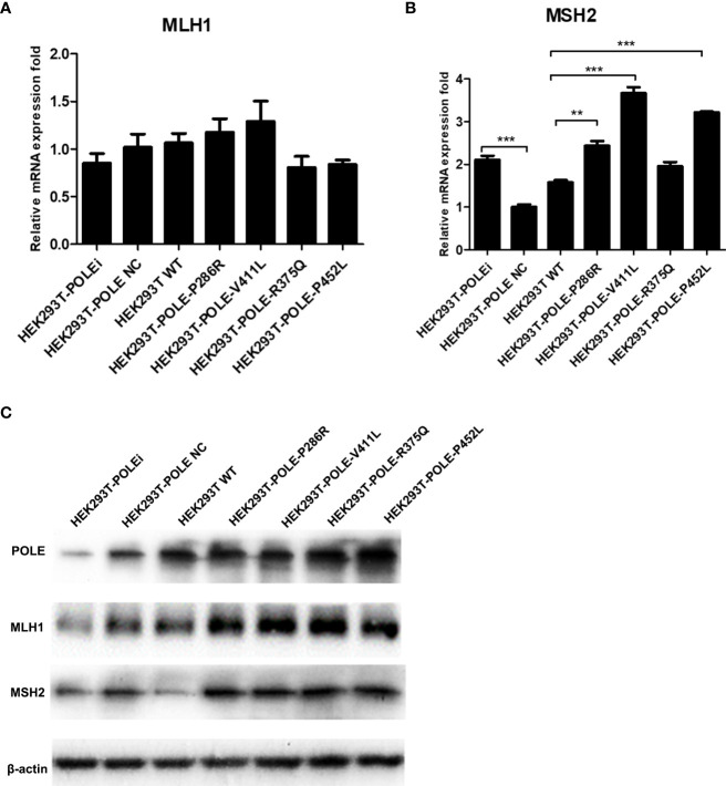 Figure 6